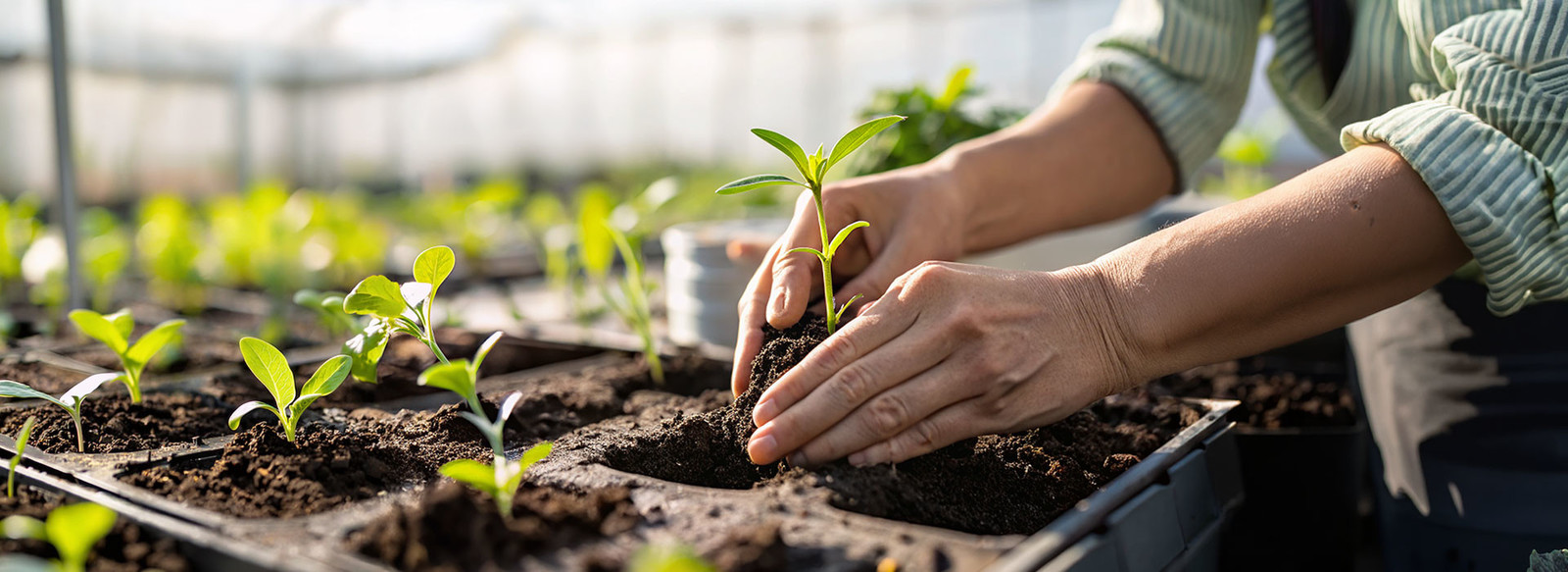 Teden organskega vrtnarjenja: Homeogarden nasveti, akcije in predavanje v Eurogardnu