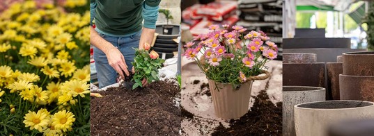 EUROGARDEN x MOMAX: Prihaja ustvarjalno vrtno doživetje za vso družino