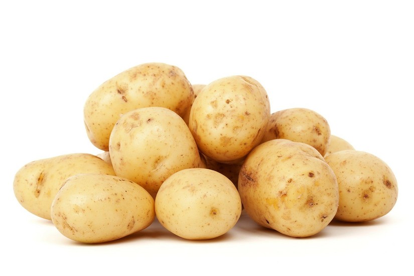 Več kot 60 vrst semenskega krompirja