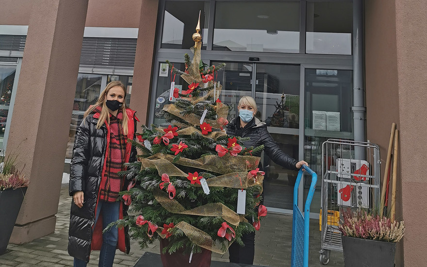 Eurogarden in Rotar podarila kavkaško jelko in polepšala praznike stanovalcem DEOS Notranje Gorice