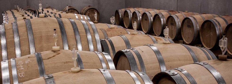 Pripravite svoja vina na ocenjevanja – strokovna analiza vin v Eurogarden laboratoriju