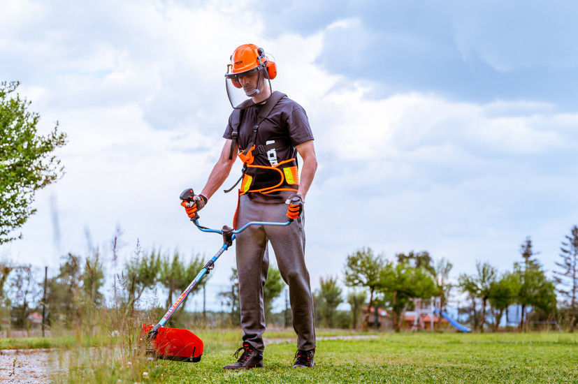 Kako izbrati motorno koso?