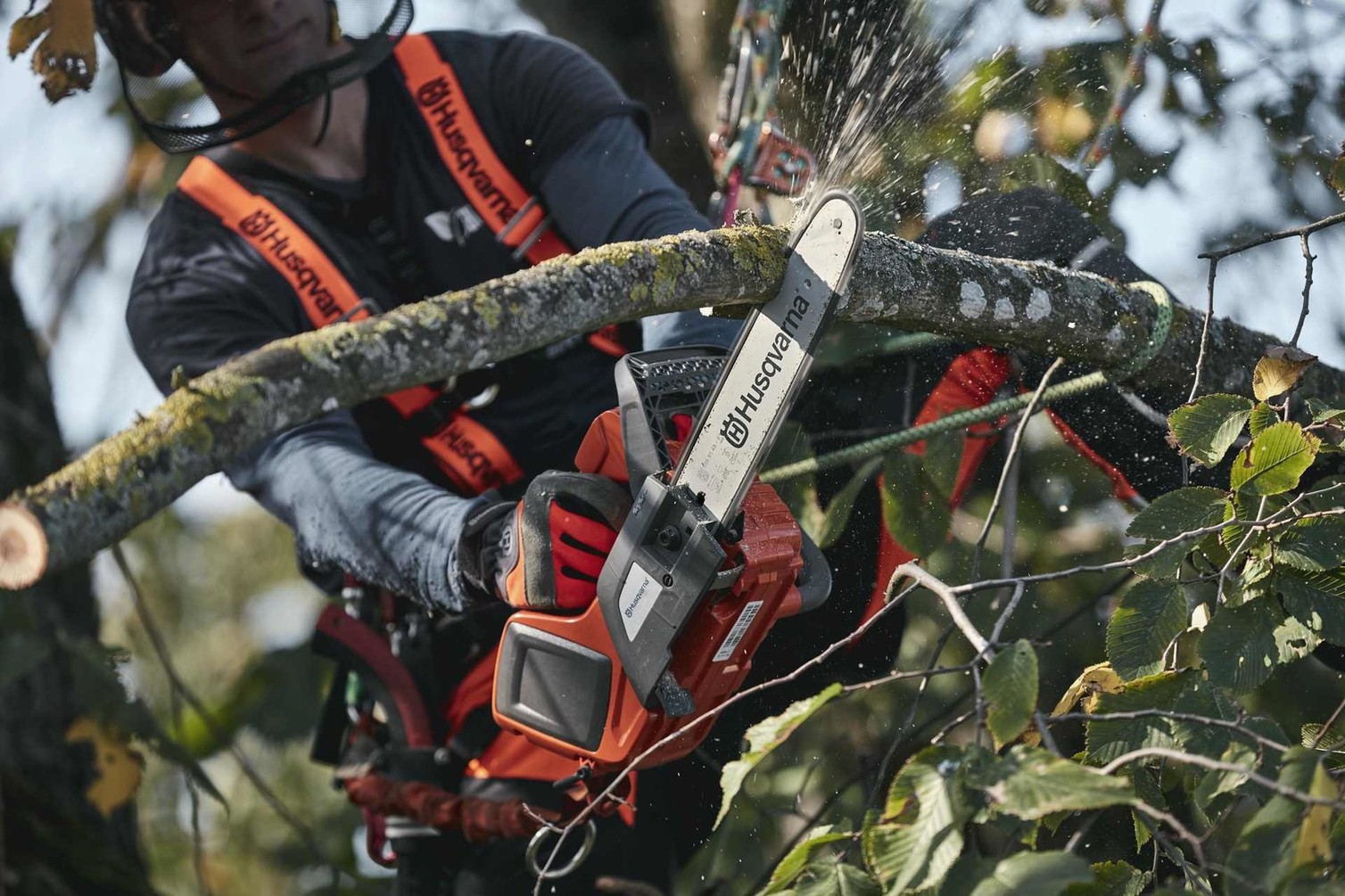 Baterijska žaga Husqvarna – Kaj pomenijo oznake?