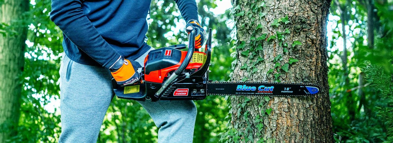 Veriga motorne žage: Vzdrževanje, brušenje in daljša življenjska doba